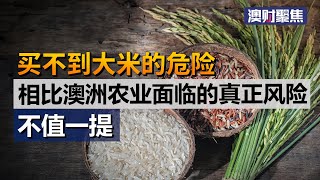 买不到大米的危险，相比澳洲农业面临的真正风险不值一提