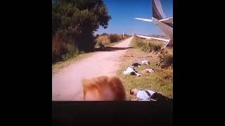 Horatio on the trail of a psycho killer! CSI: Miami S4E17 #shorts #crime