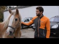 horse jogging fitness mit pferd