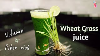 How to grow wheat grass without soil | How to get flat belly with wheat grass | Healthy life style