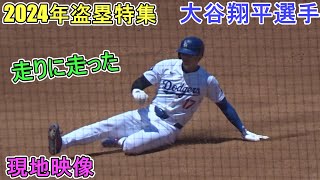 盗塁特集！～2024年シーズン～【大谷翔平選手】走りに走った！Shohei Ohtani Stealing Base 2024 Season