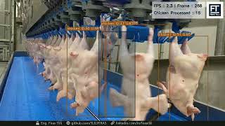 AI-Powered Chicken Counting System | Computer Vision in Real Production Environment