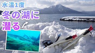 冬は水の中の方が暖かい【支笏湖 - 太古の森 / アイスダイビング / lake shikotsu 2024 / Vlog】