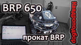 Квадроподбор BRP 650 2013.  Прокат BRP