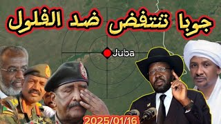 جنوب السودان تستدعي سفيرها بعد تصفية جنوبيين في الجزيرة وحقيقة وجود جنوبيين مع الدعم السريع