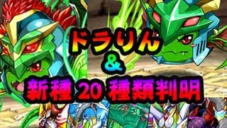 パズドラ　データ更新　ドラりん　最新速報 新究極進化＆新モンスター 続々登場！2013.6.15