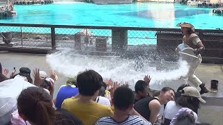 USJ ウォーターワールド　2019/8/17 11時15分の回（保安官の逆鱗に触れて、大バケツで水かけ～～！(笑)）