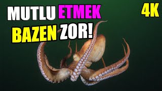 Octopus Bored With Me \u0026 Escape | Ahtapot Kerim Can Artık Benden Sıkıldı | Görüntü Avı