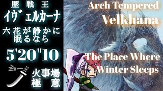 歴戦王イヴェルカーナ 太刀ソロ 5'20\