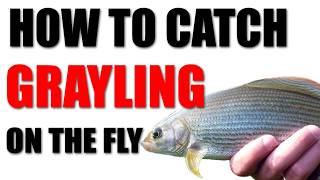 How to fly fish for Grayling. #flyfishing #euronymphing #drydropper