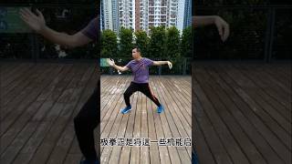 (葉形菲)老師使用YouTube免費平台，教授武術，創作古詩文，作詞，作曲，中國象棋。將創作文化和中華古文化帶到全世界。