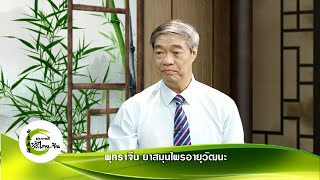 สุขภาพดีวิถีไทย-จีน EP.235 (3/3) พุทราจีน สมุนไพรอายุวัฒนะ โดย พจ.ชรัช งามศรัทธา