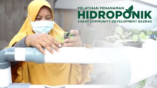 PELATIHAN PENANAMAN HIDROPONIK | Zakat Community Development