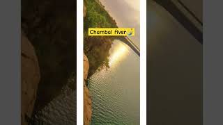 ||India||close to Chambal river 🧜‍♂️🤯  #chambal #river #travel #love #viralshort #shorts #song