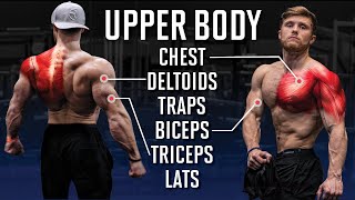 The Best Full UPPER BODY Workout For Max Muscle Growth (Science Applied)