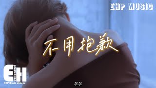 羊羊 - 不用抱歉『真的別說抱歉 誰都別說抱歉，誰都不會一直愛一個人，我都了解。』【動態歌詞/Vietsub/Pinyin Lyrics】