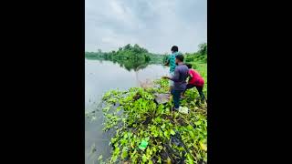 ভাটিয়ারী লেক, মিরকা ফিশ। #fishing #lake