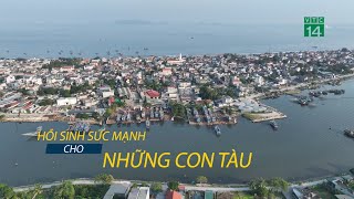 Hồi sinh sức mạnh cho những con Tàu| VTC14