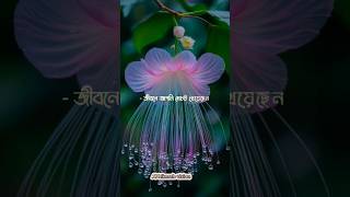 যখন দেখবেন ❤️‼️ Abu Toha Muhammad Adnan #banglawaz #islamicvideo #আবু_ত্বহা_মুহাম্মদ_আদনান #shorts