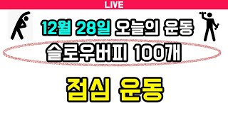 12월 28일 고도비만 맨몸운동 슬로우 버피 100개 , 점심운동 함께하시죠!