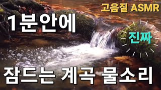 [1시간] 산속 계곡에 흐르는 진짜 잠드는 계곡물소리