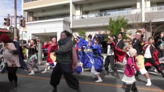 総踊り『よっちょれ』  2016.11.23津新町フェスタ4K動画