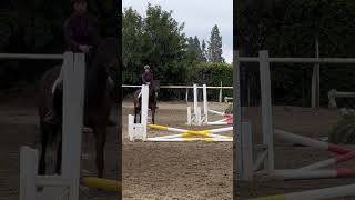 The jump was 🤏 cause there were beginners in my lesson #fypシ #horse #edit #showjumping #equestrian