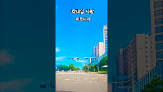 칵테일 사랑 #마로니에 #최성원 #신윤미 #노래