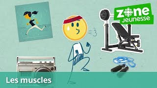 Explique-moi ça! - Pourquoi a-t-on mal aux muscles après le sport? - Zone Jeunesse