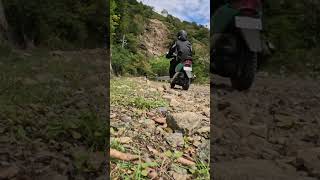 剣山スーパー林道をスタイディッシュに走る原付スクーター50cc