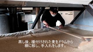 麦焼酎・製麹【盛り】（Barley Shochu and Koji Making - Prime）