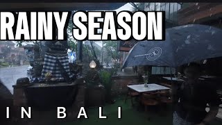 The ABSOLUTE! Best Time To Visit BALI - Rainy Season is Fantastic!