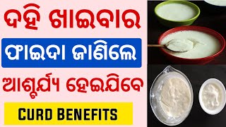 ଦହି ଖାଇବାର ଜବରଦସ୍ତ ଫାଇଦା - Health Benefits of Curd (Dahi) | Curd Benefits in Odia | Dahi Benefits