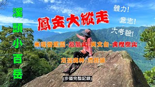 鳳凰山金柑樹山環溪頭大縱走(鳳金縱走2022-6-21）