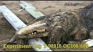 SCP-682 Termination Log | Experiment Log T-98816-OC108/682