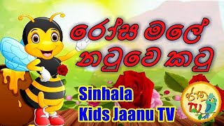 රෝස මලේ නටුවෙ කටූ | Rosa male natuwe katu | Malshika Ranathunga | Sinhala Kids Jaanu TV