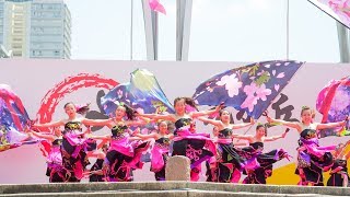 [4K] dance conpany REIKA組　よさこい光が丘 2018 7/15 (中央)