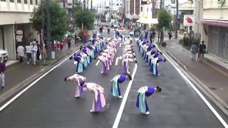 俄嘉屋2019　銭形よさこい　駅通会場