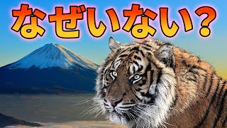 なぜ日本にトラがいないのか？【解説動画】