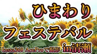 ひまわりフェステバル・in 清瀬＜４K＞10万本のひまわり　Insta360 AceProで撮影