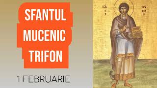 SFANTUL MUCENIC TRIFON - 1 februarie