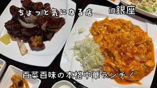 【グルメ巡りvlog】銀座にある百菜百味さんで本格中華を堪能！！