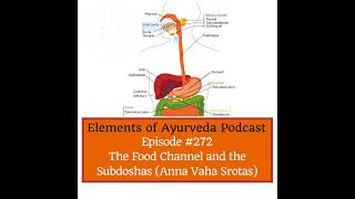 Episode #272 The Food Channel  The Subdoshas Anna Vaha Srotas