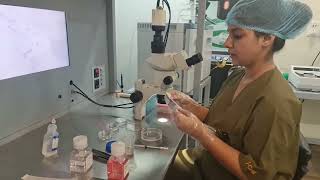 HO-110 - Dr. Shilpa, Sr. Embryologist at SEART, Gurugram is teaching us about Oocytes Aspiration