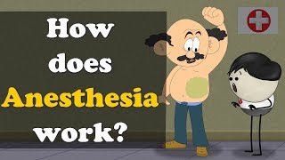 How does Anesthesia work? + more videos | #aumsum #kids #science #education #children