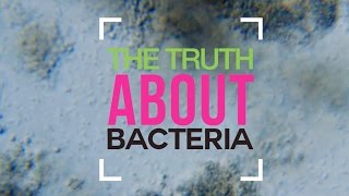 The Truth About Bacteria