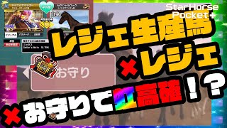 【驚愕】素質のお守り！そして！！素質限界突破のお守りつづけて虹枠！？テイエムオペラオー産駒走らせてみた続き！　スターホースポケット (star horse pocket)