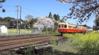 4K 2017春の小湊鉄道