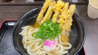 福岡県で食べるならごぼう天うどん