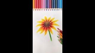 【彩鉛教學】彩鉛保姆級教程向日葵的畫法丨color pencil drawing